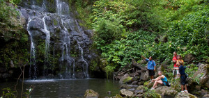 Hawaii Waterfall Tour