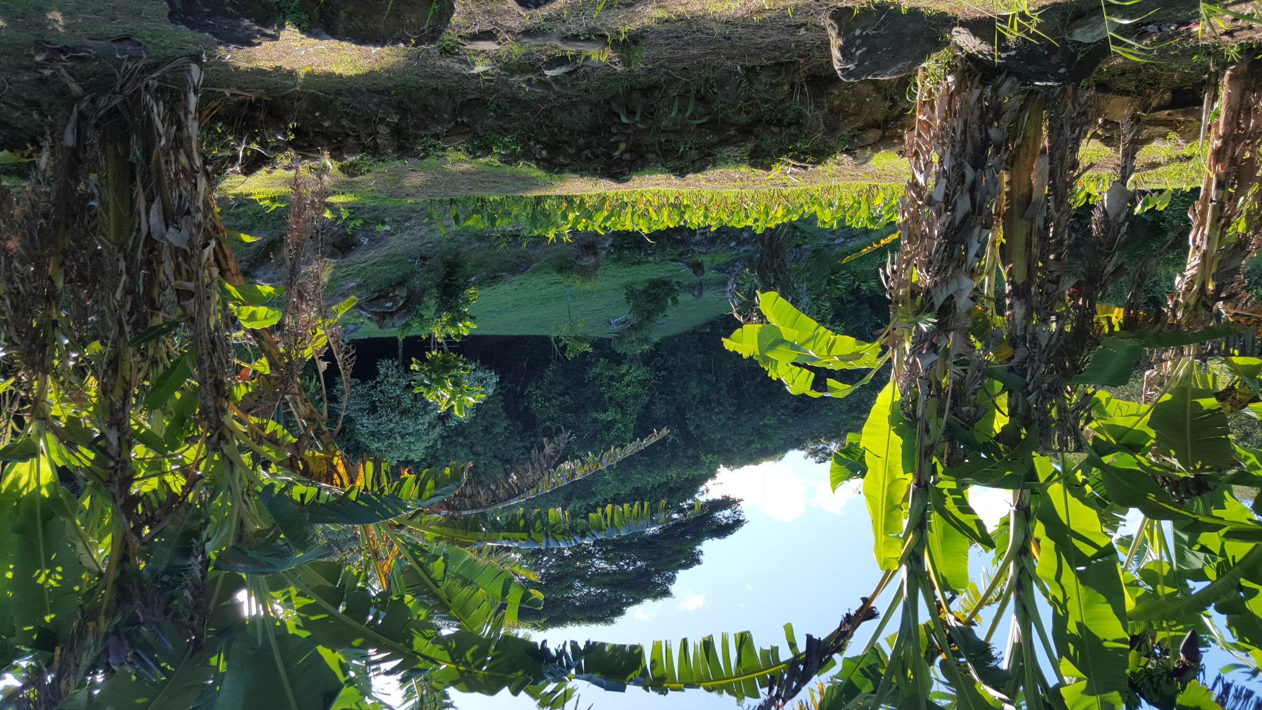 Packing for Hawaii: Now &#038; Then- By April Nelson