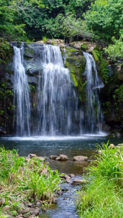 Kohala Zip & Dip | Hawaii Forest & Trail